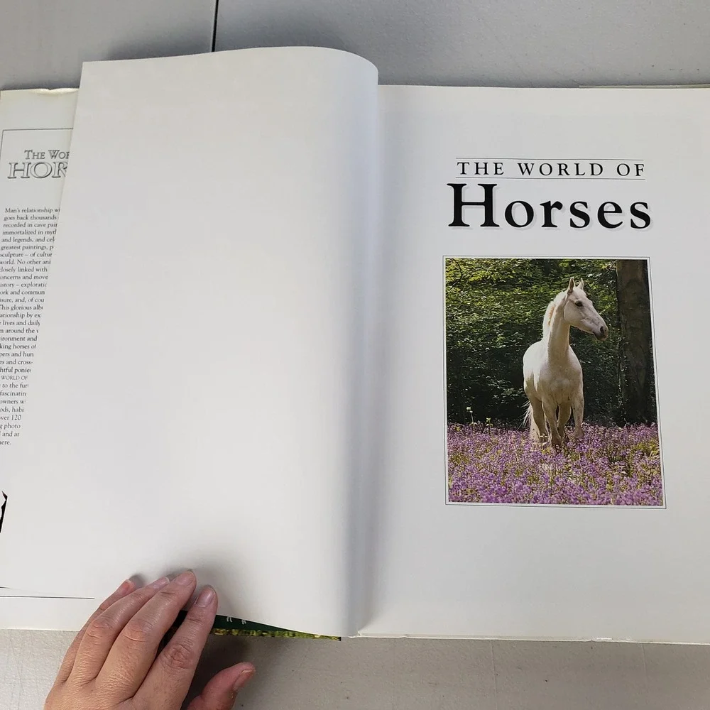 The World of Horses Angela Rixon Hardcover Book 1994 Smithmark Photography